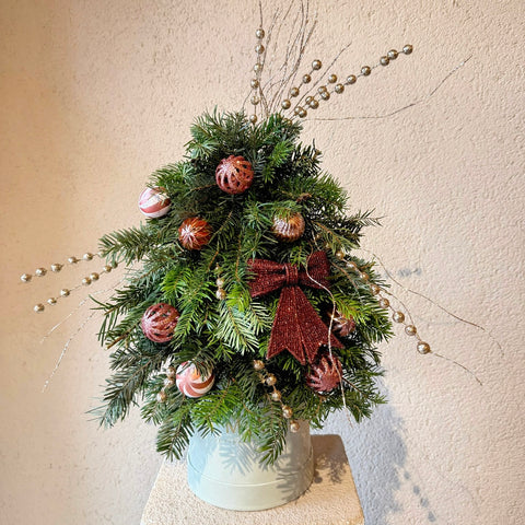 Cinnamon Glow Mini Çam Ağacı