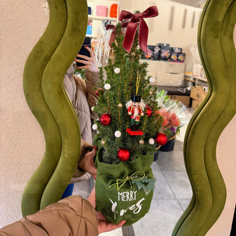 Evergreen Charm Mini Çam Ağacı