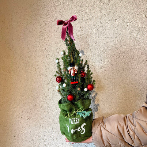 Evergreen Charm Mini Çam Ağacı