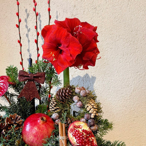 Nar & Amaryllis – Ahşap Kutuda Kış Aranjmanı