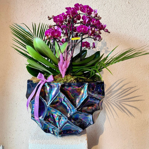 Amavi’s Violet Aura Vazoda Orkide Tasarımı