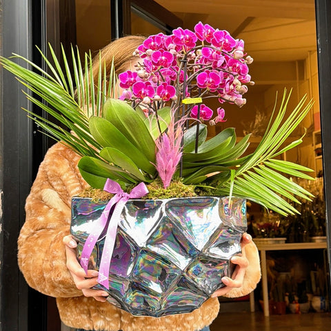 Amavi’s Violet Aura Vazoda Orkide Tasarımı