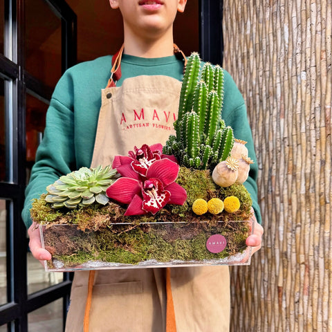 Desert Muse Pleksi Kutuda Kaktüs Aranjman