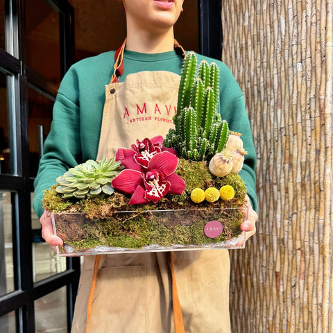 Desert Muse Pleksi Kutuda Kaktüs Aranjman