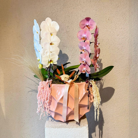 Blush Équilibre Seramik Vazoda Orkide Aranjmanı