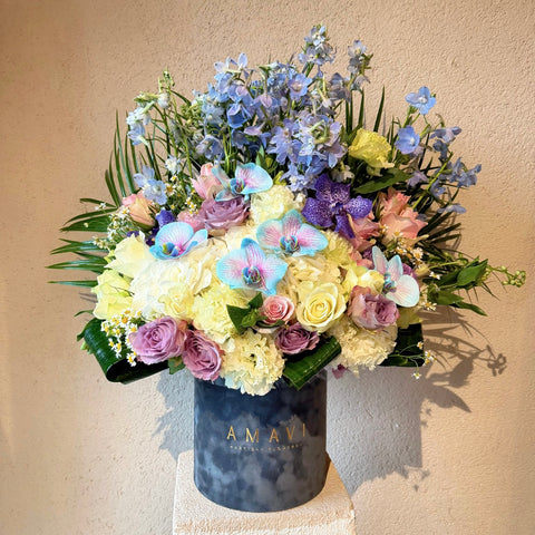 Cotton Candy Clouds Kutuda Aranjman