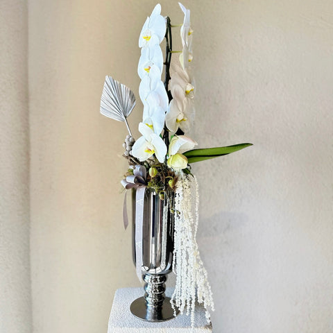 Silver Bloom Özel Premium Orkide