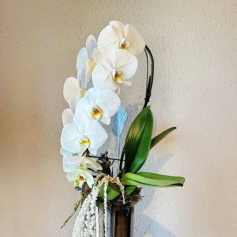 Silver Bloom Özel Premium Orkide