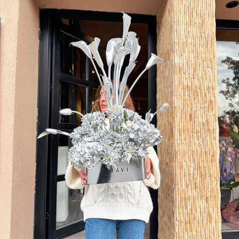 Amavi's Silver Dream Kutuda Aranjman