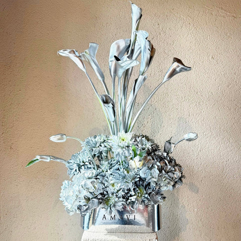 Amavi's Silver Dream Kutuda Aranjman