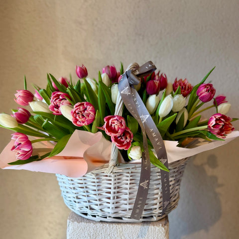 Tulip Chérie Sepette 50 Lale Aranjman
