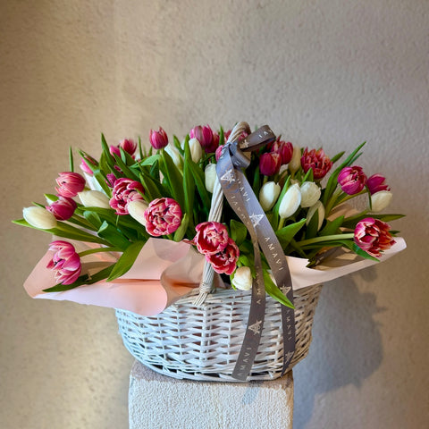 Tulip Chérie Sepette 50 Lale Aranjman