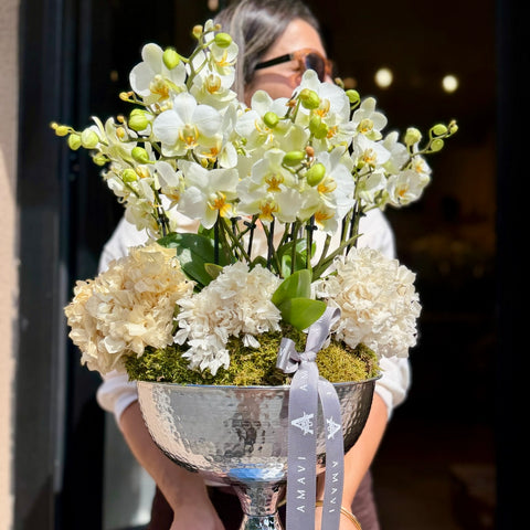 Silver Jardin Midi Orkide Aranjmanı