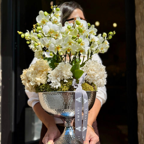 Silver Jardin Midi Orkide Aranjmanı