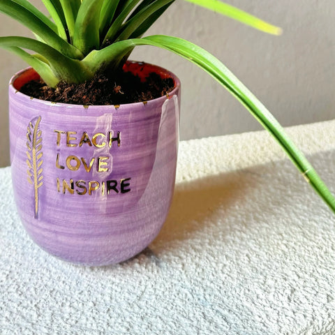 Teach Love Inspire Air Plant FGI Mug November 24 Special